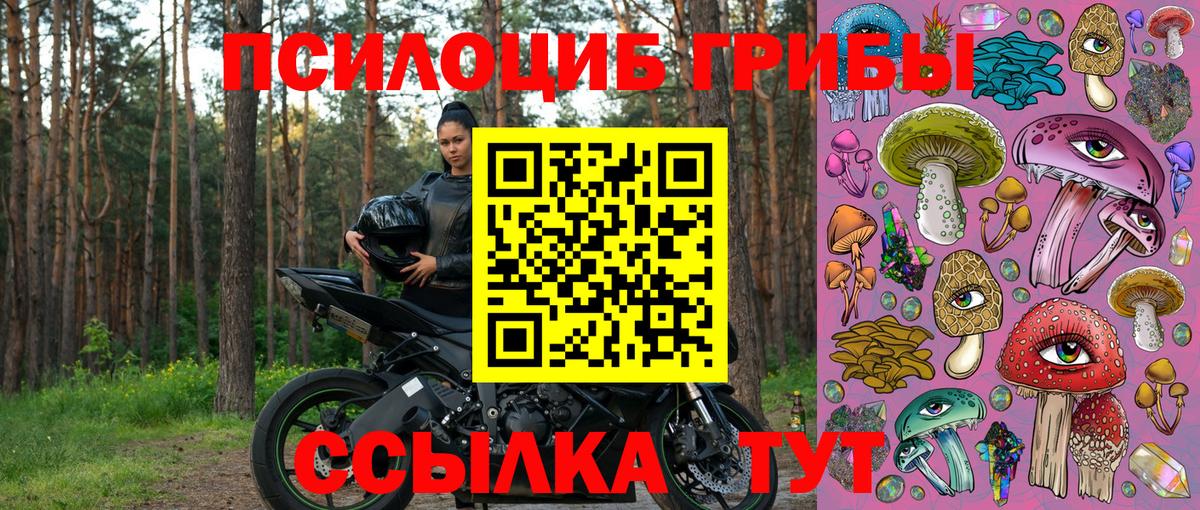 Псилоцибиновые грибы прущие грибы  Вход с VPN  Холмск  Галлюциногенные грибы GOLDEN TEACHER 